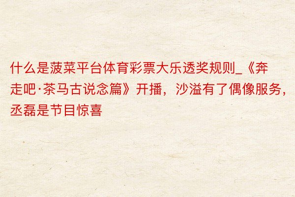 什么是菠菜平台体育彩票大乐透奖规则_《奔走吧·茶马古说念篇》开播，沙溢有了偶像服务，丞磊是节目惊喜