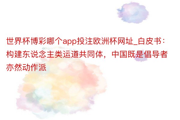 世界杯博彩哪个app投注欧洲杯网址_白皮书：构建东说念主类运道共同体，中国既是倡导者亦然动作派